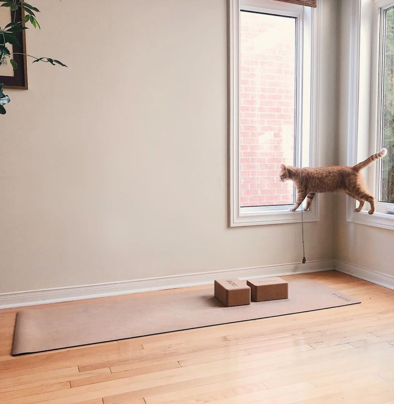 Standard Essential Cork Yoga Mat